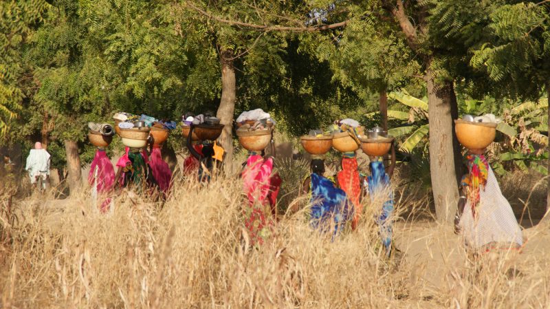 Kamerun Kamerun