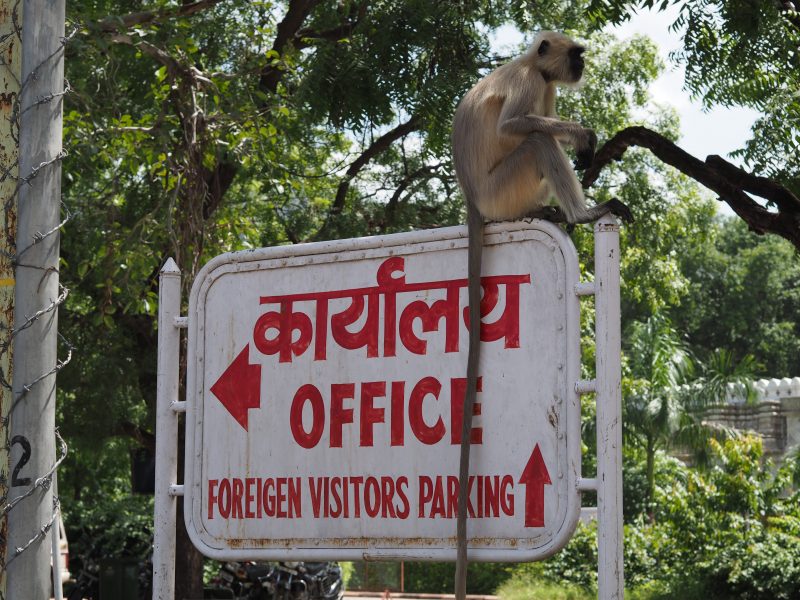 Indien, Gujarat