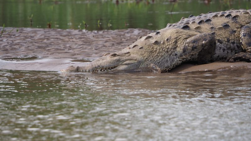 Costa Rica Costa Rica