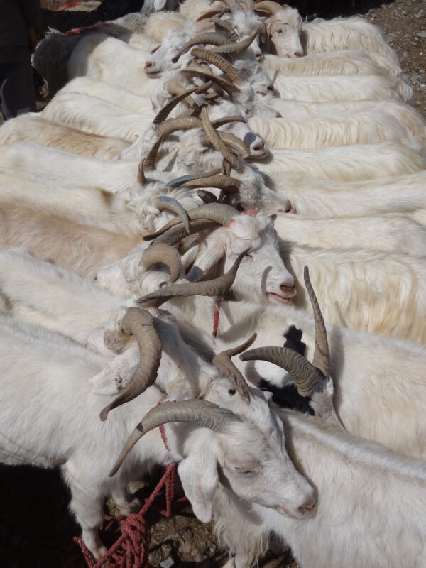 China, Xinjiang China, Xinjiang