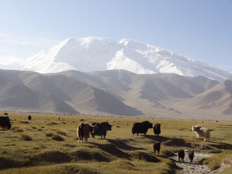 China, Xinjiang China, Xinjiang