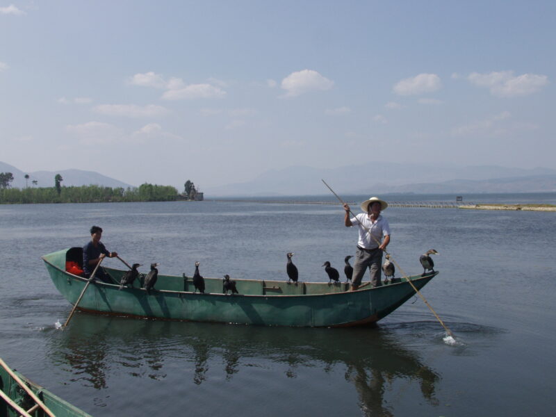 China, Yunnan China, Yunnan