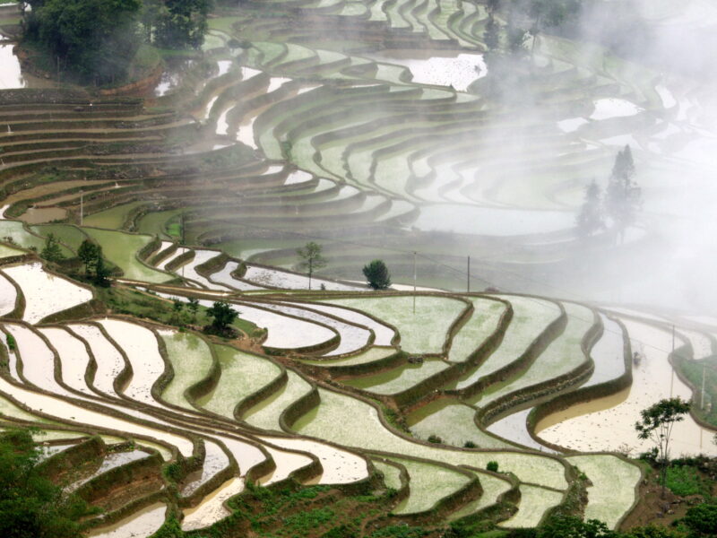 China, Yunnan China, Yunnan