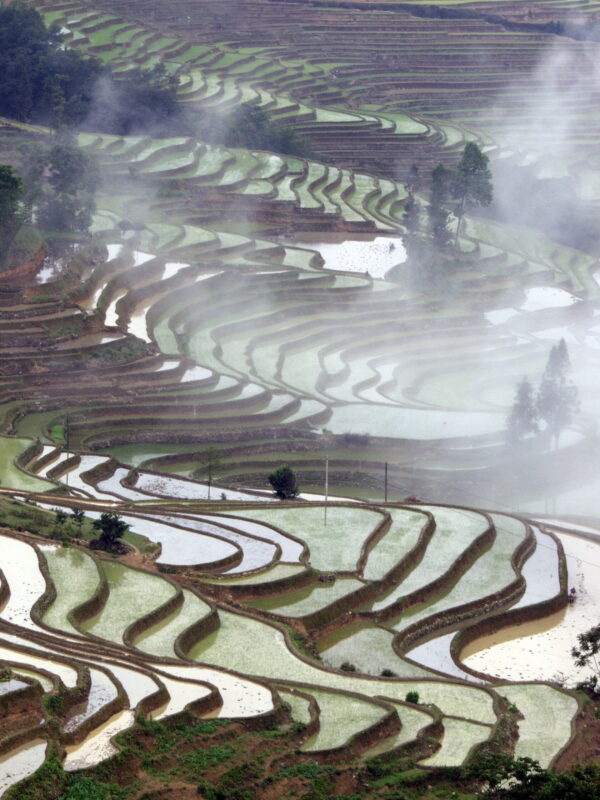 China, Yunnan China, Yunnan