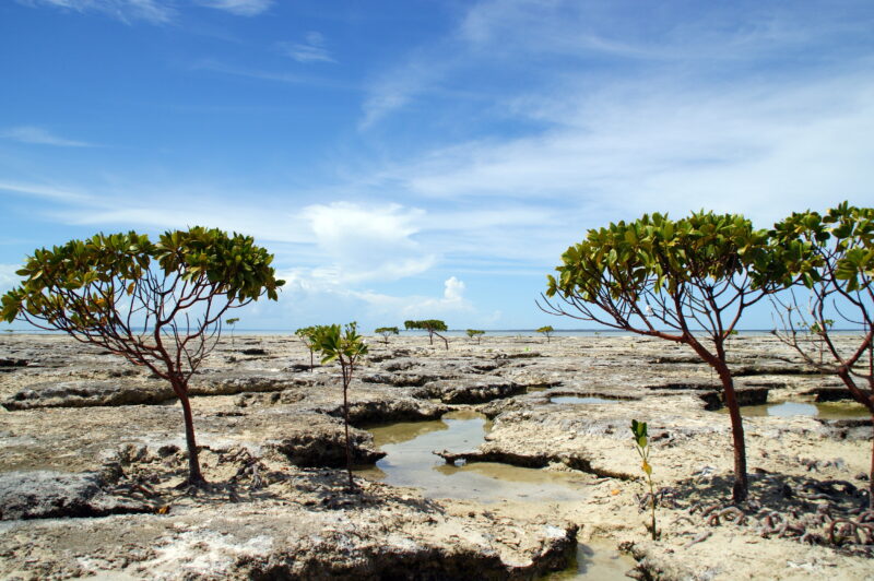 Mosambik, Ibo Island Mosambik, Ibo Island