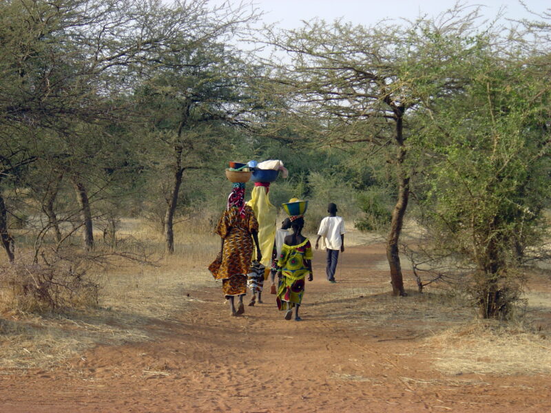 Niger Niger