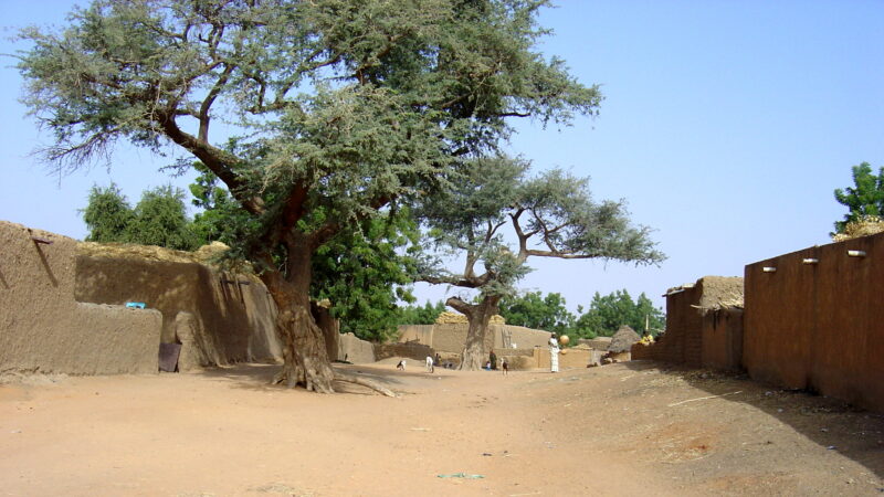 Niger