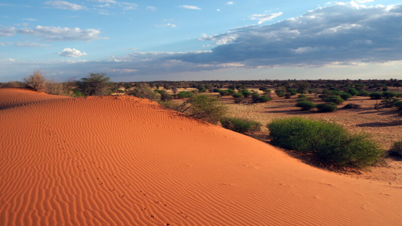 Namibia, Kalahari