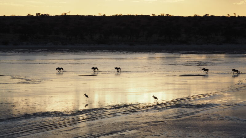 Namibia, Kalahari Namibia, Kalahari