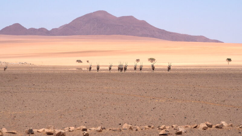 Namibia, Namib-Naukluft Namibia, Namib-Naukluft