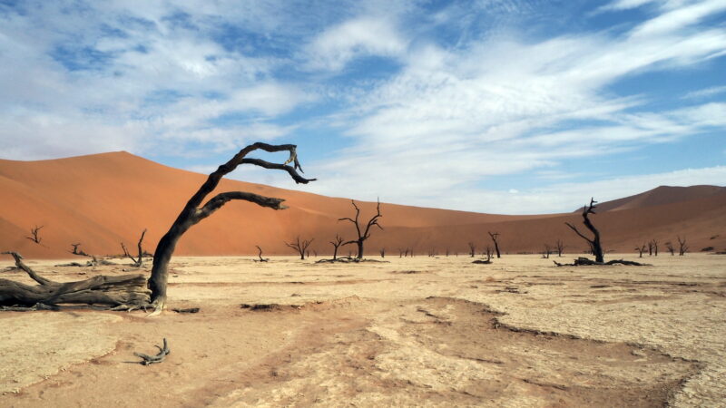 Namibia, Dead Vlei