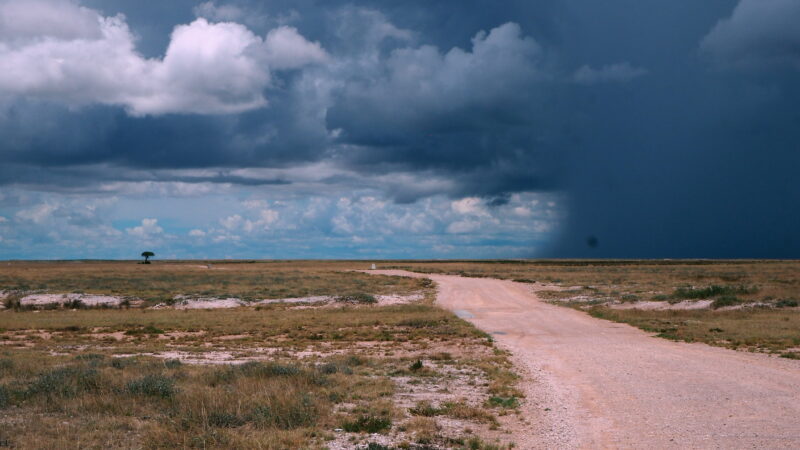Namibia, Etosha NP Namibia, Etosha NP
