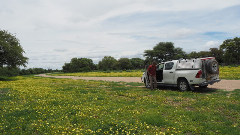 Namibia, Waterberg Area