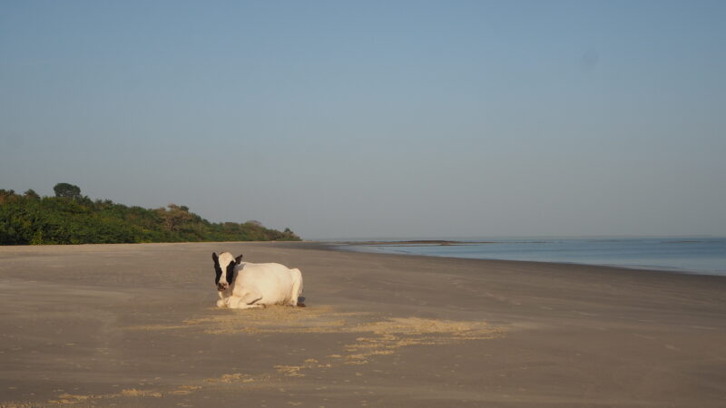 Guinea-Bissau Guinea-Bissau