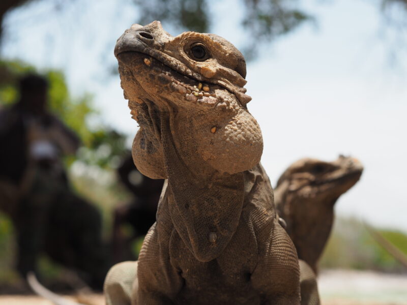 Dominikanische Republik Dominikanische Republik