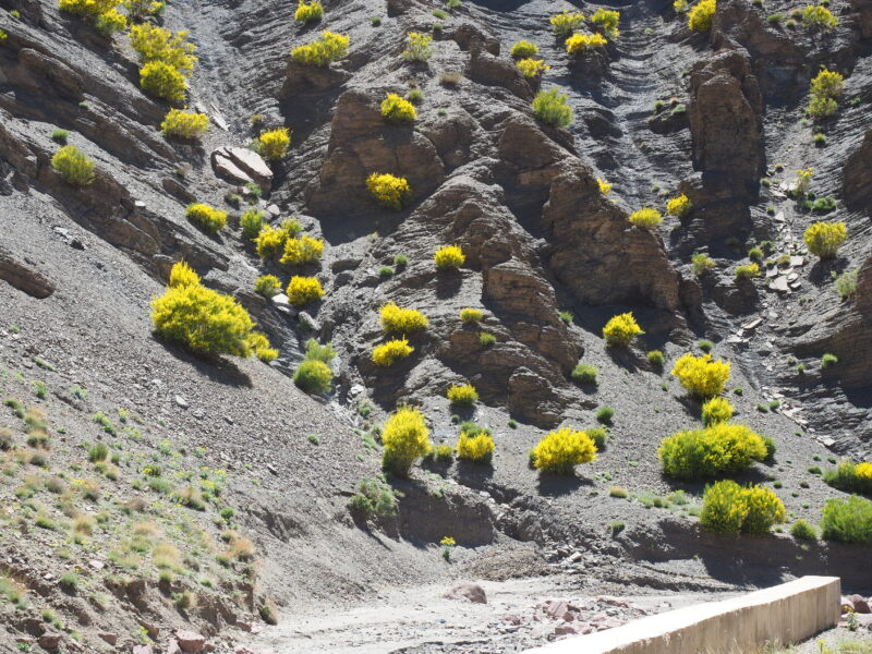 Marokko, durch das Atlasgebirge