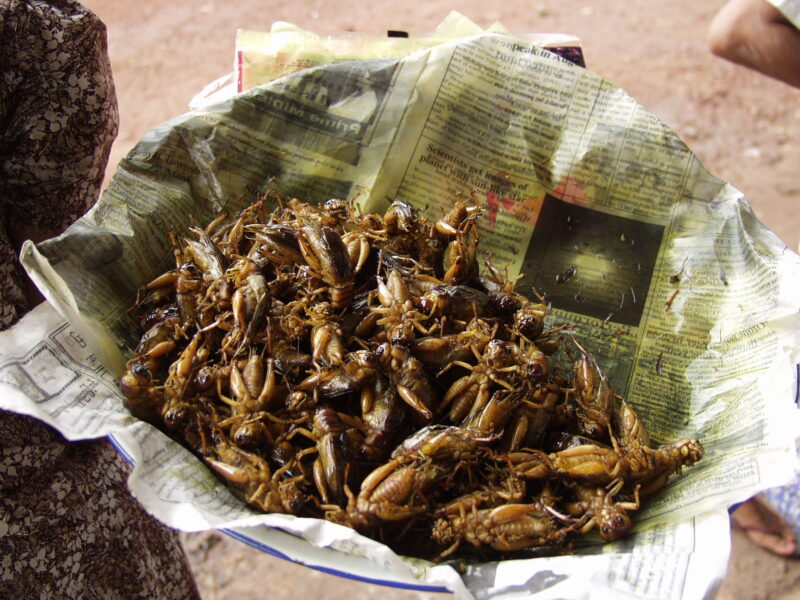 Myanmar Myanmar
