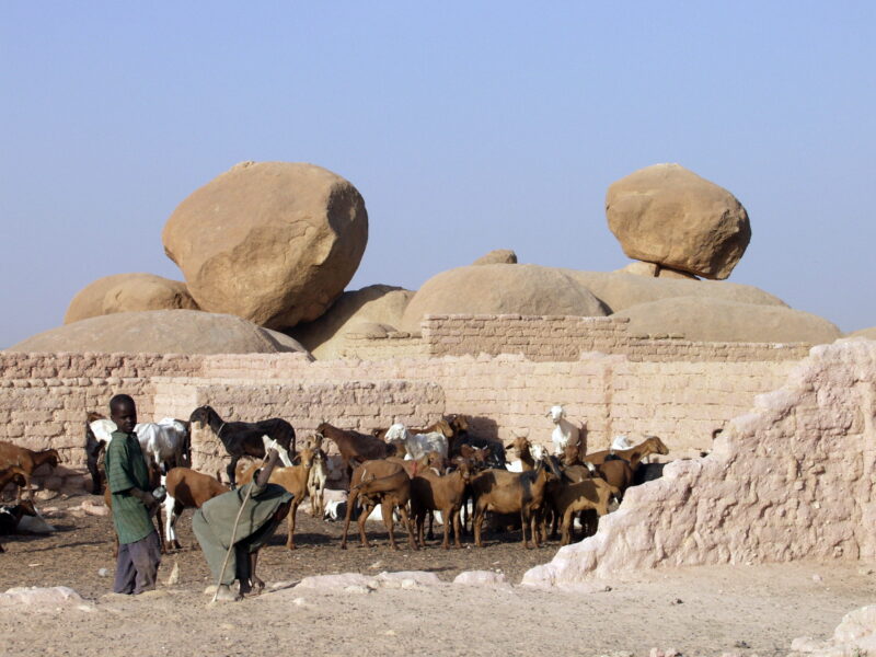 OLYMPUS DIGITAL CAMERA OLYMPUS DIGITAL CAMERA