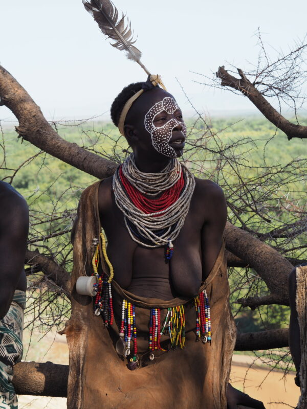 OLYMPUS DIGITAL CAMERA OLYMPUS DIGITAL CAMERA