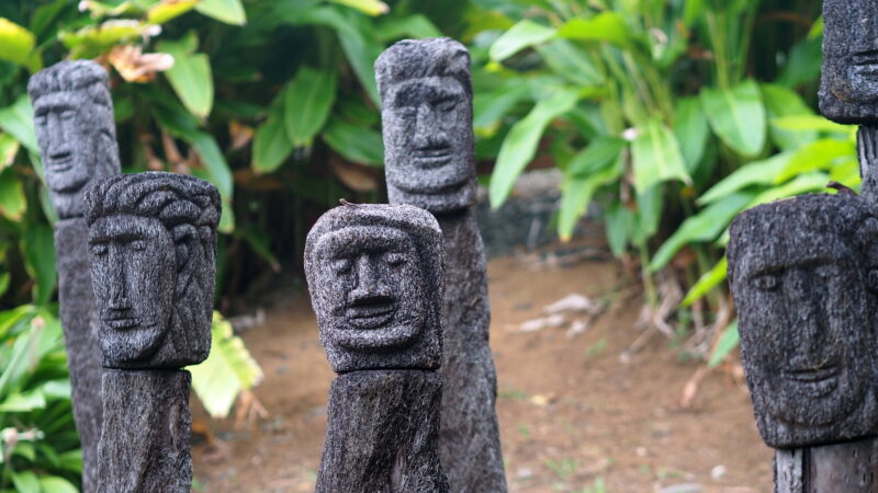 OLYMPUS DIGITAL CAMERA OLYMPUS DIGITAL CAMERA