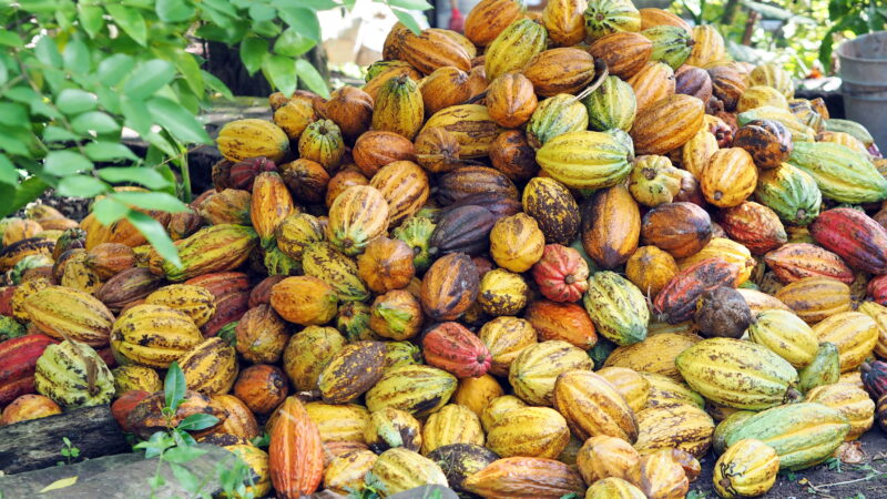 OLYMPUS DIGITAL CAMERA OLYMPUS DIGITAL CAMERA